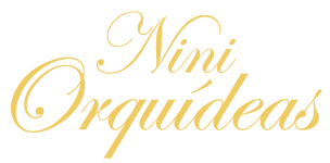 Nini Orquídeas 