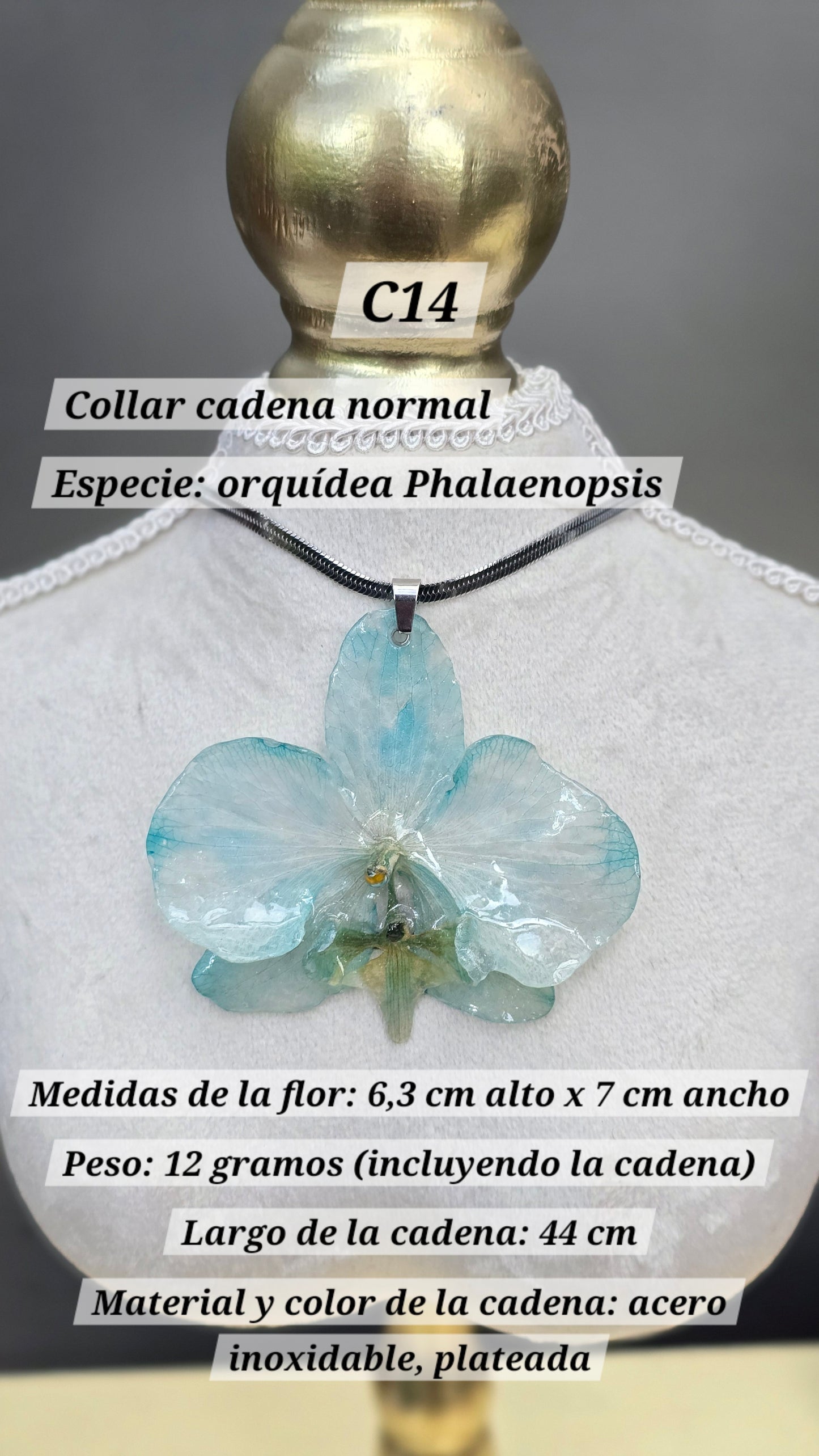 Collares con orquídeas
