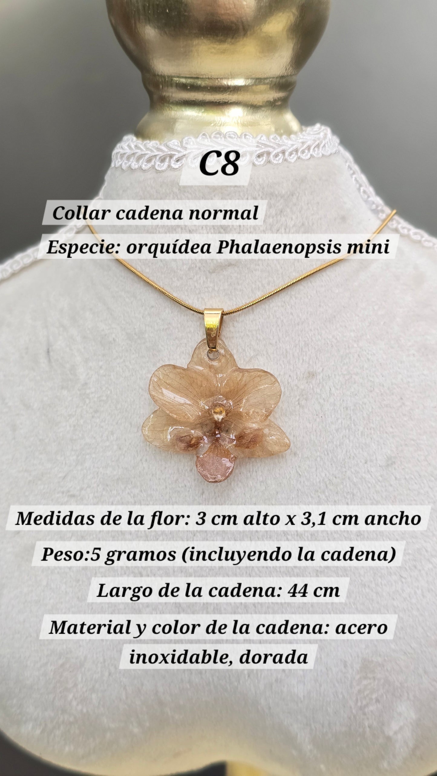 Collares con orquídeas