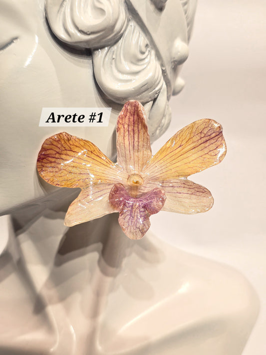 S1 - 8 🌸