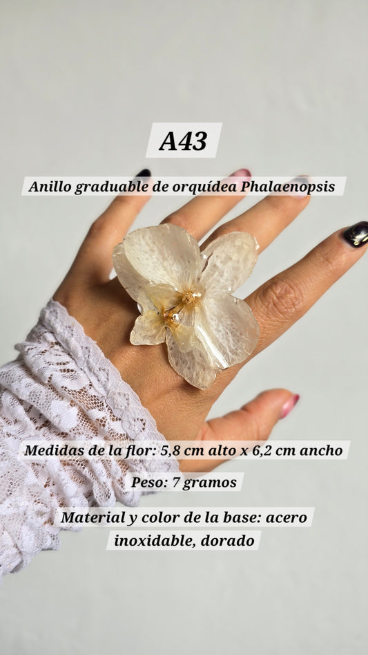 Anillos con orquídeas