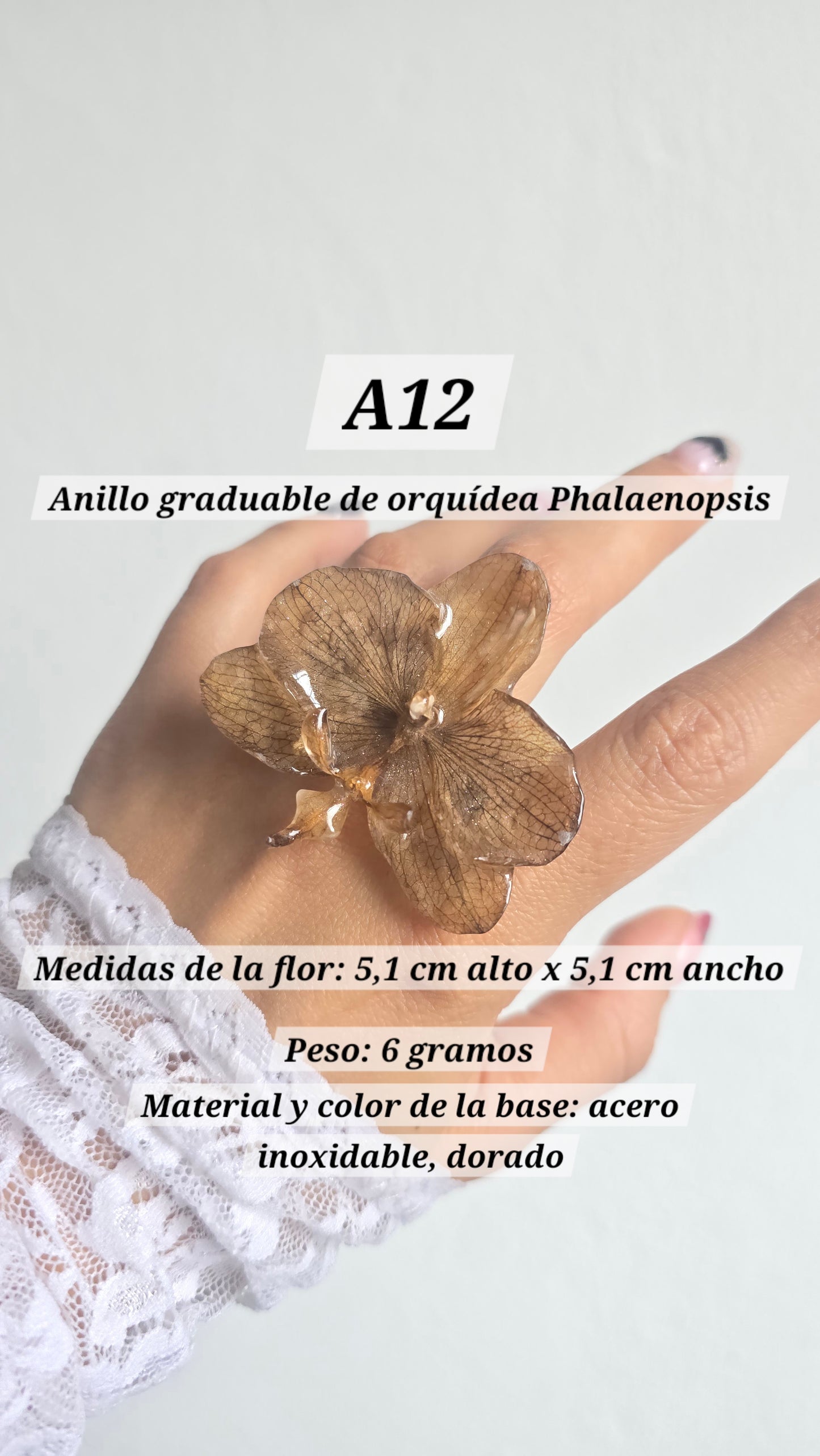 Anillos de orquídeas