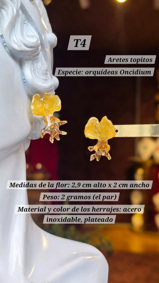 Aretes con orquídeas
