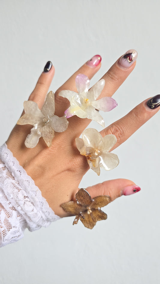 Anillos con orquídeas