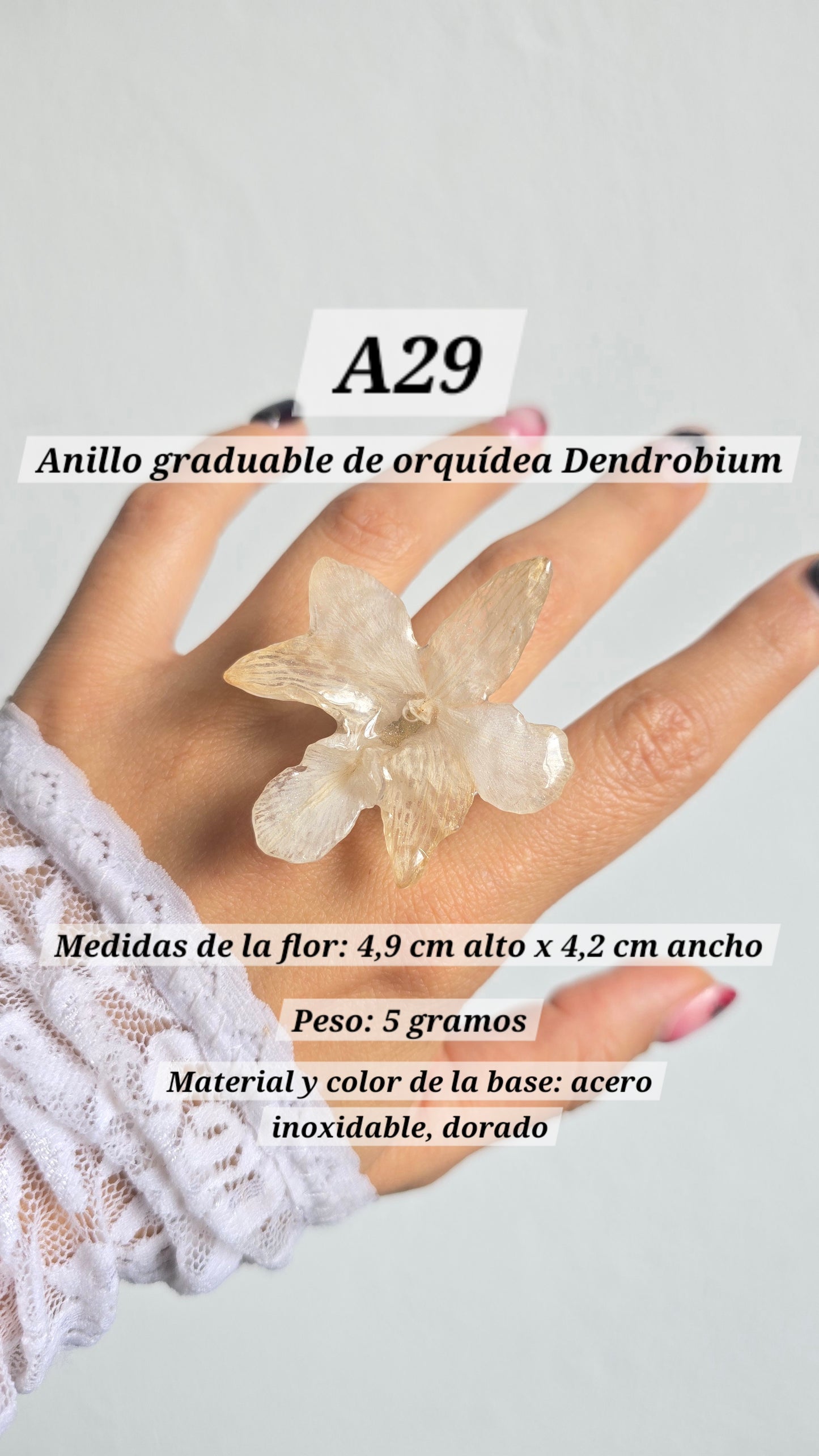 Anillos con orquídeas