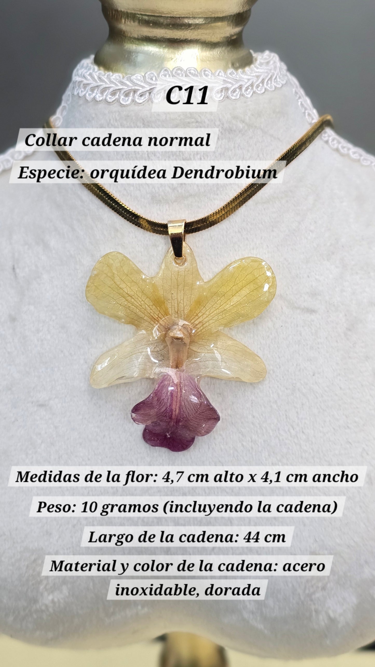 Collares con orquídeas