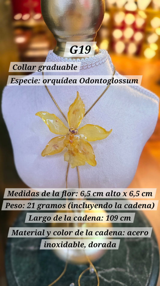 Collares con orquídeas