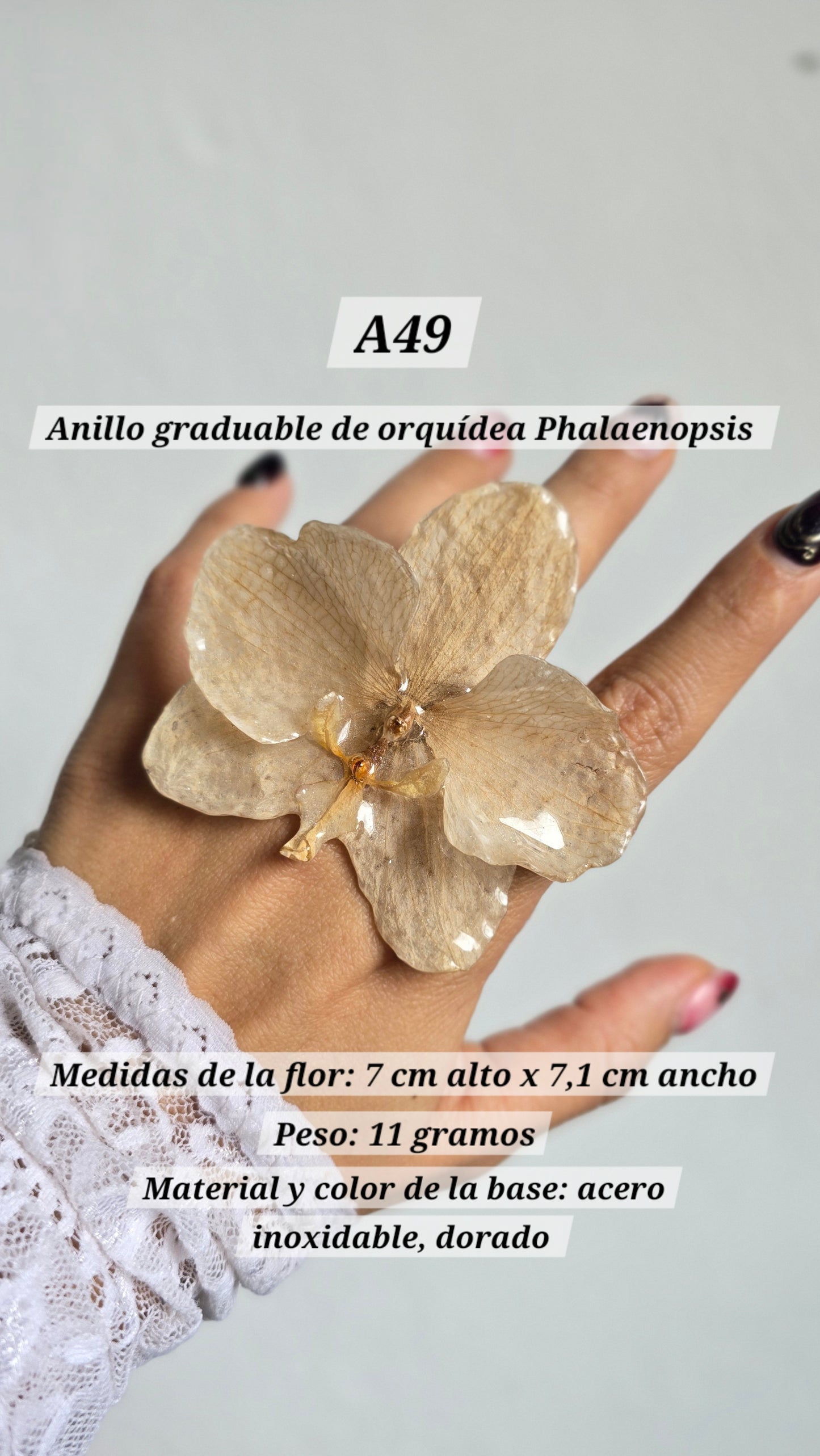 Anillos con orquídeas