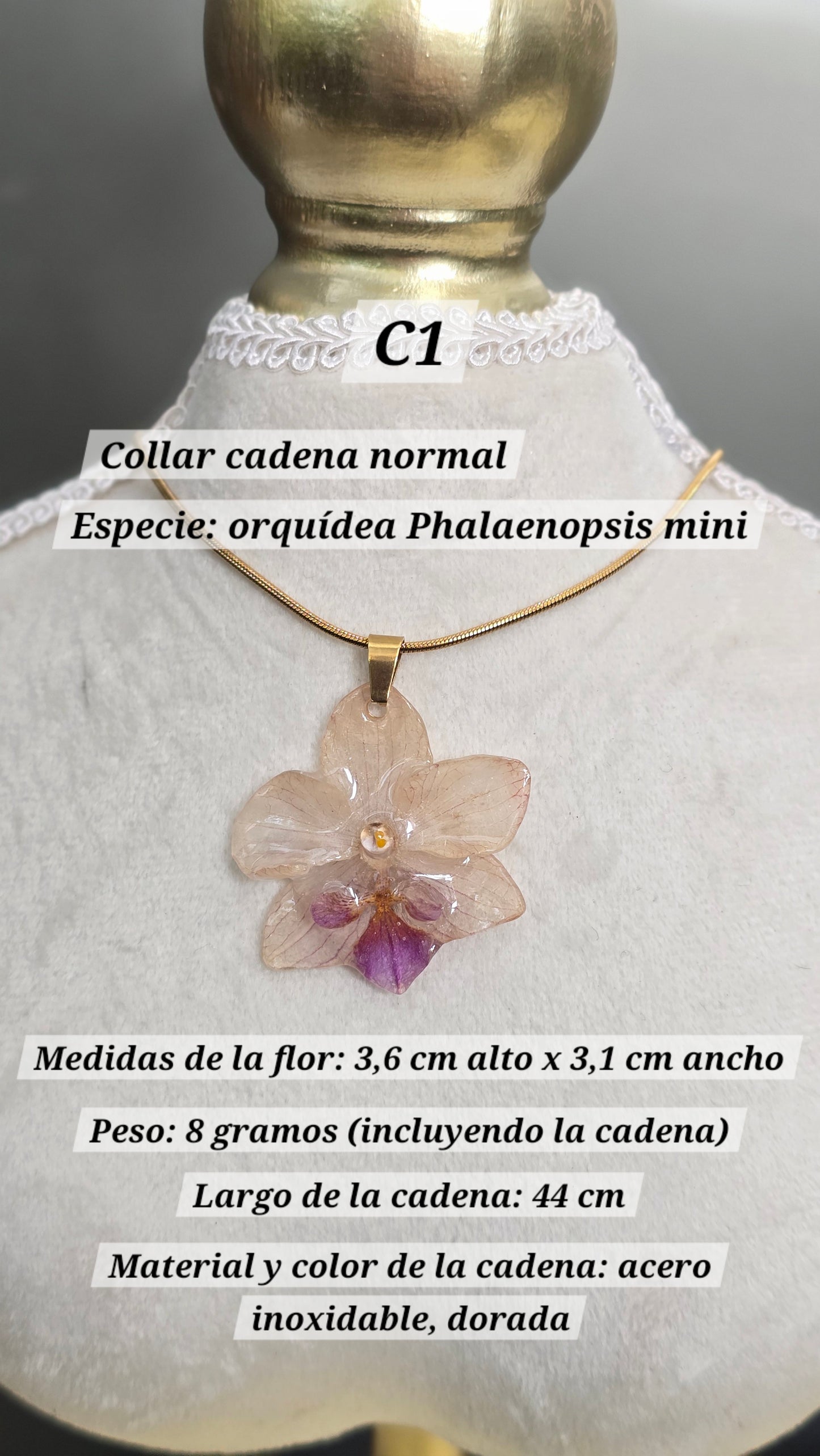 Collares con orquídeas