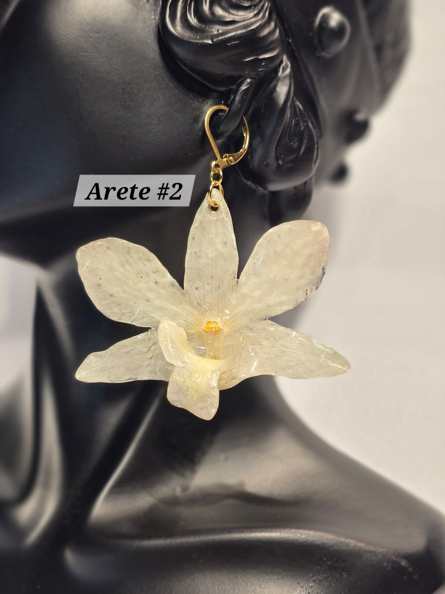S1 - 3 🌸