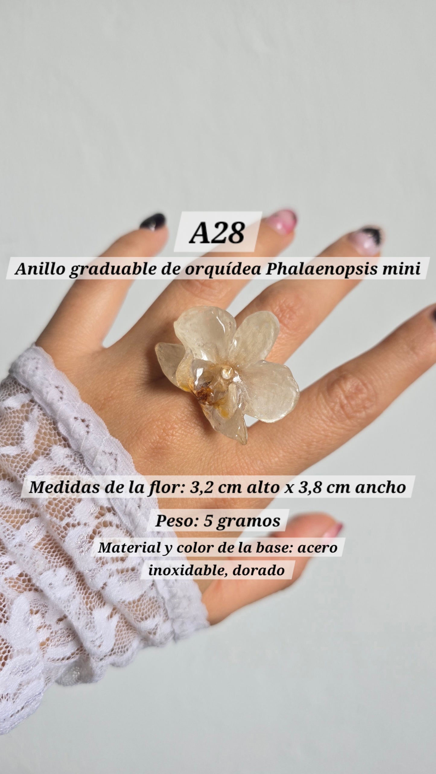 Anillos con orquídeas