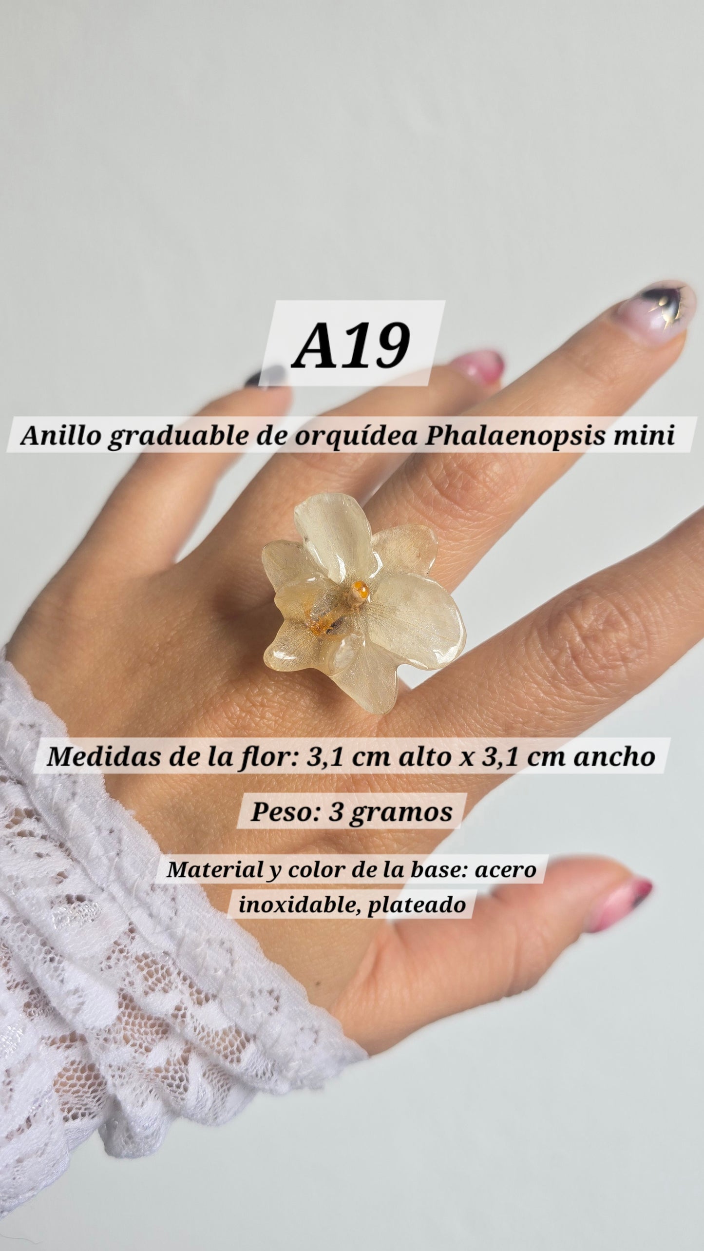 Anillos de orquídeas