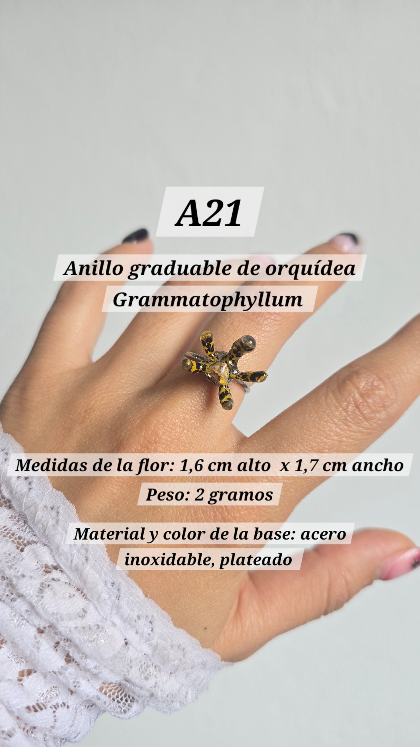 Anillos de orquídeas