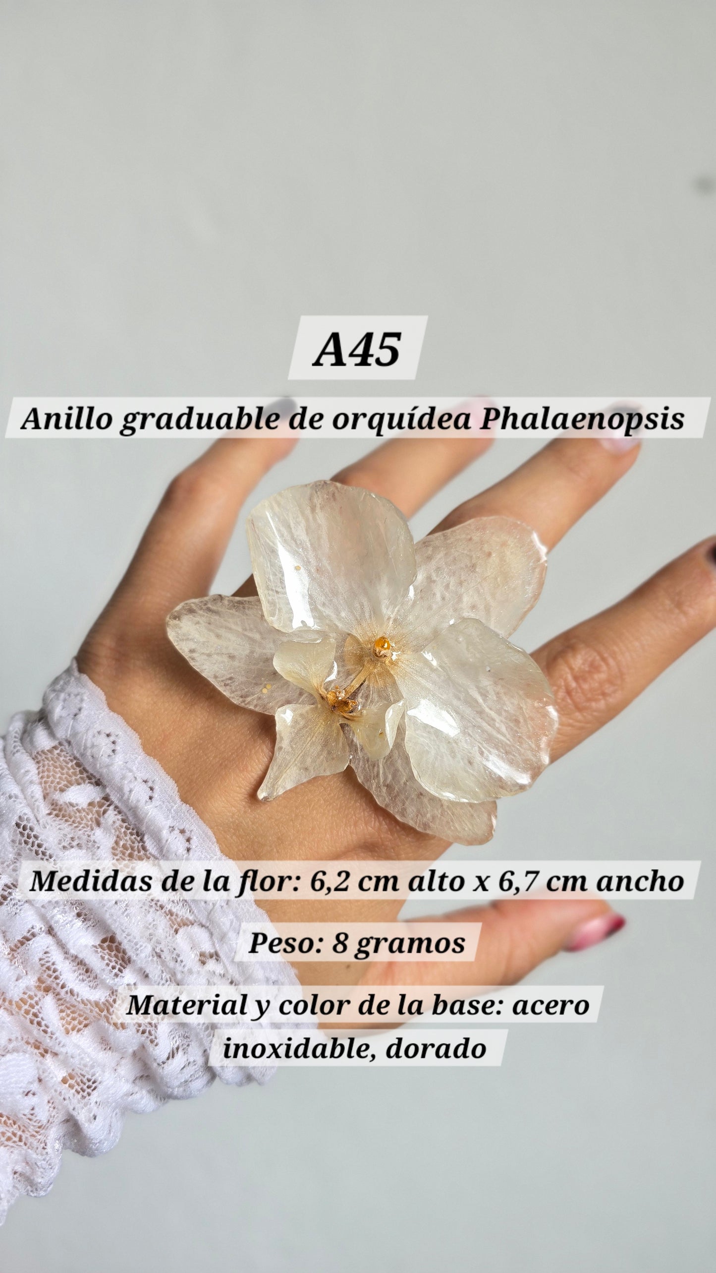 Anillos con orquídeas