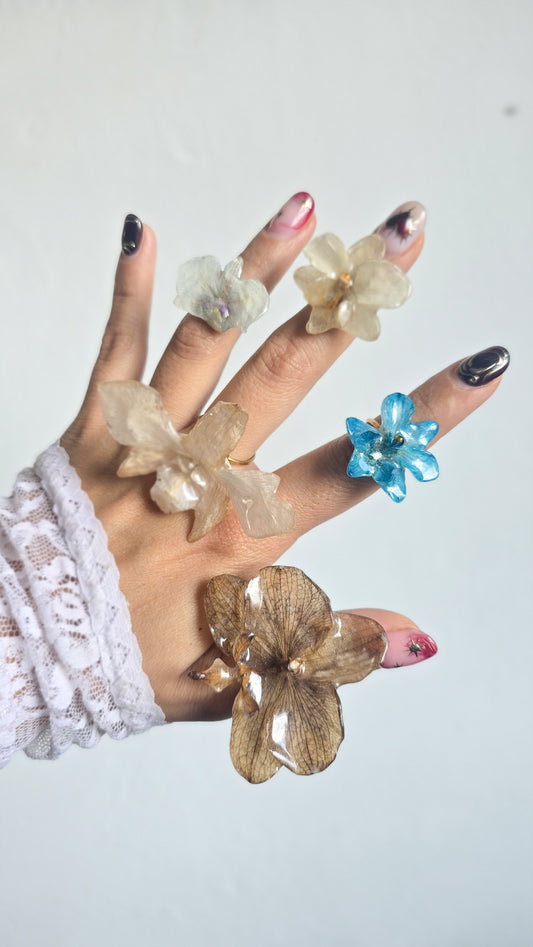 Anillos de orquídeas