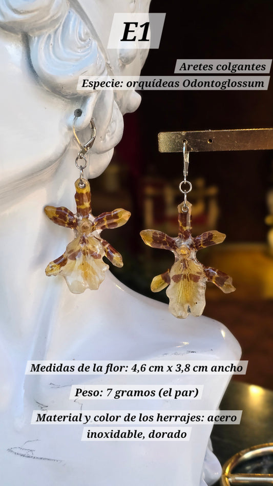 Aretes con orquídeas