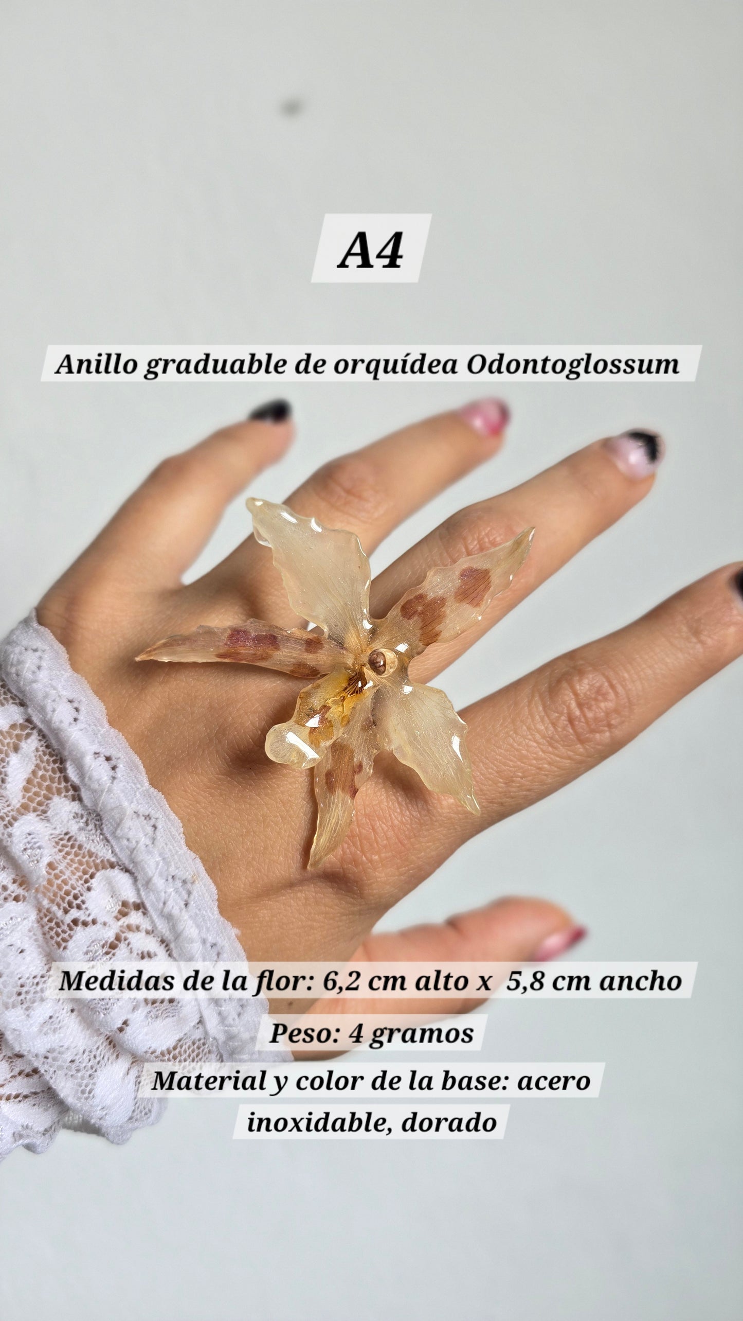 Anillos con orquídeas