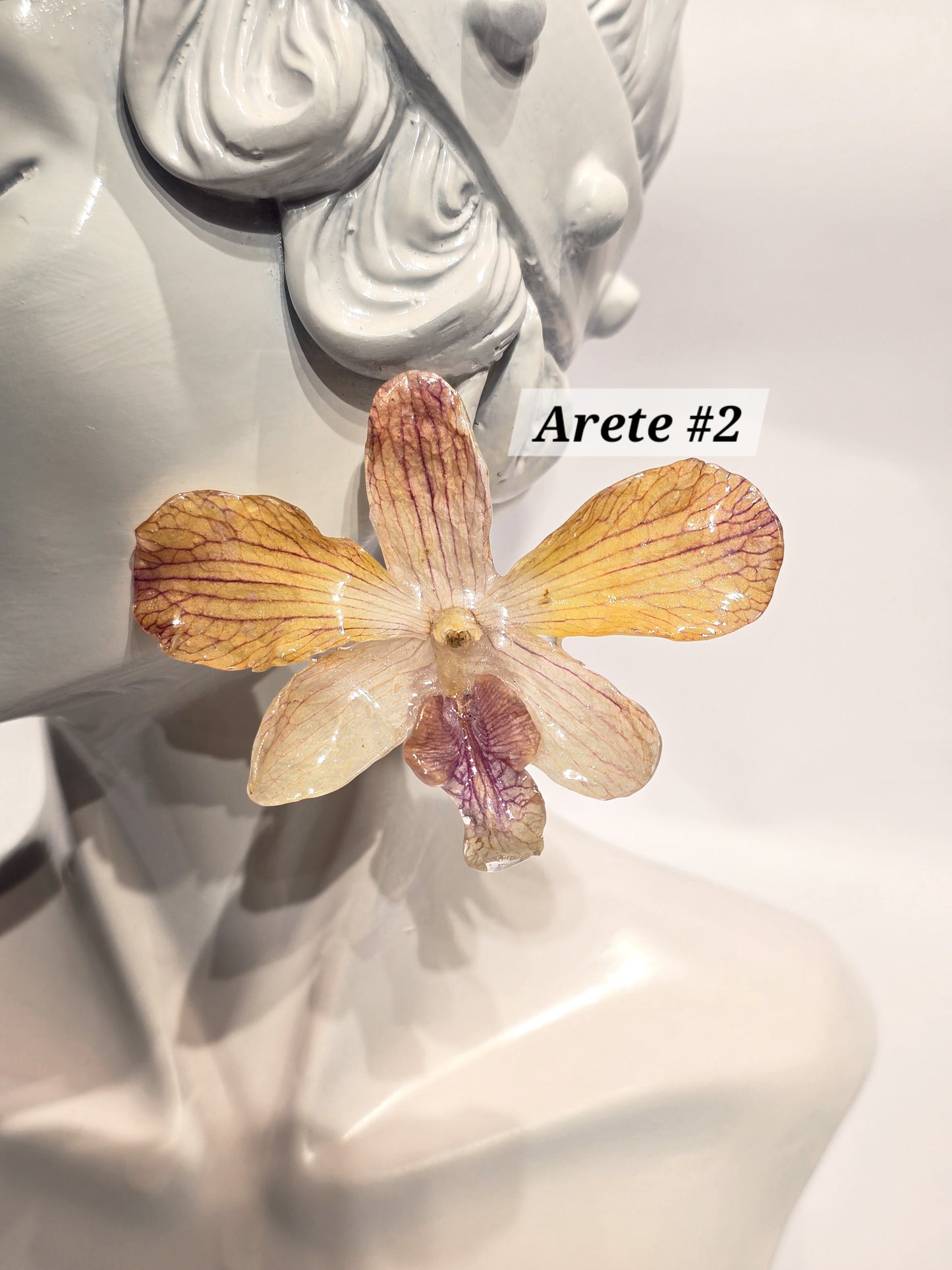 S1 - 8 🌸