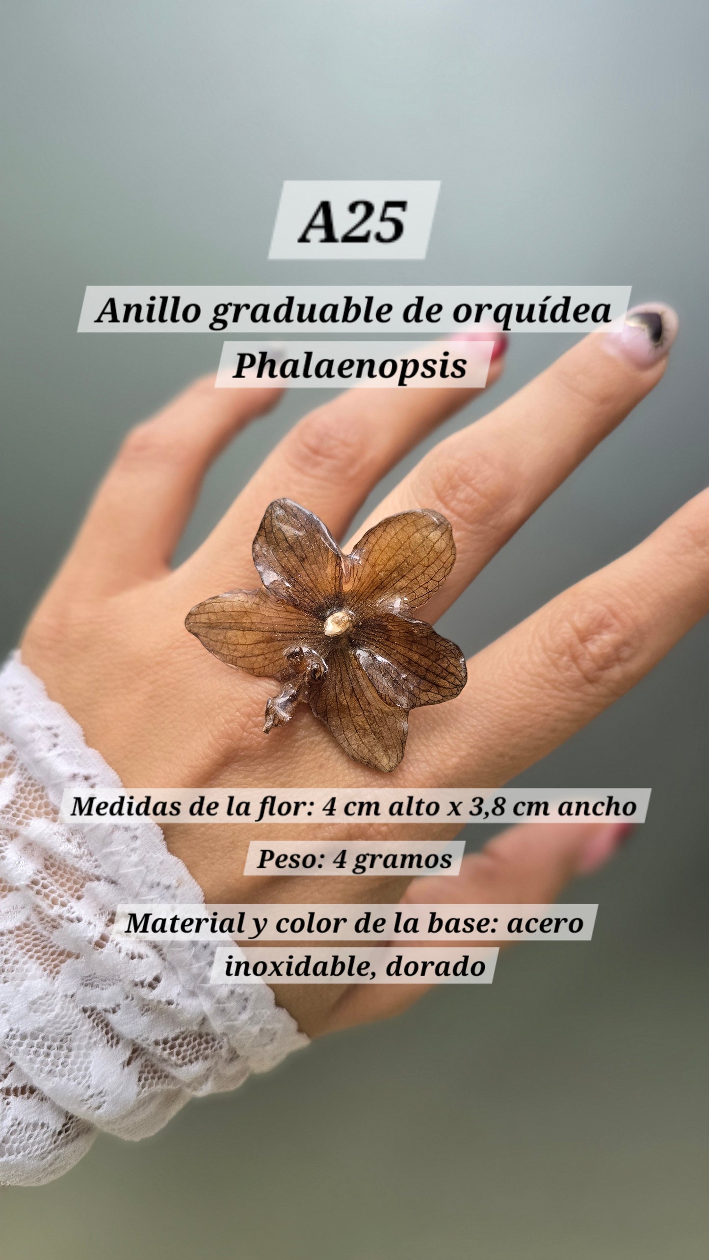 Anillos con orquídeas