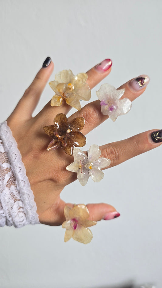 Anillos con orquídeas