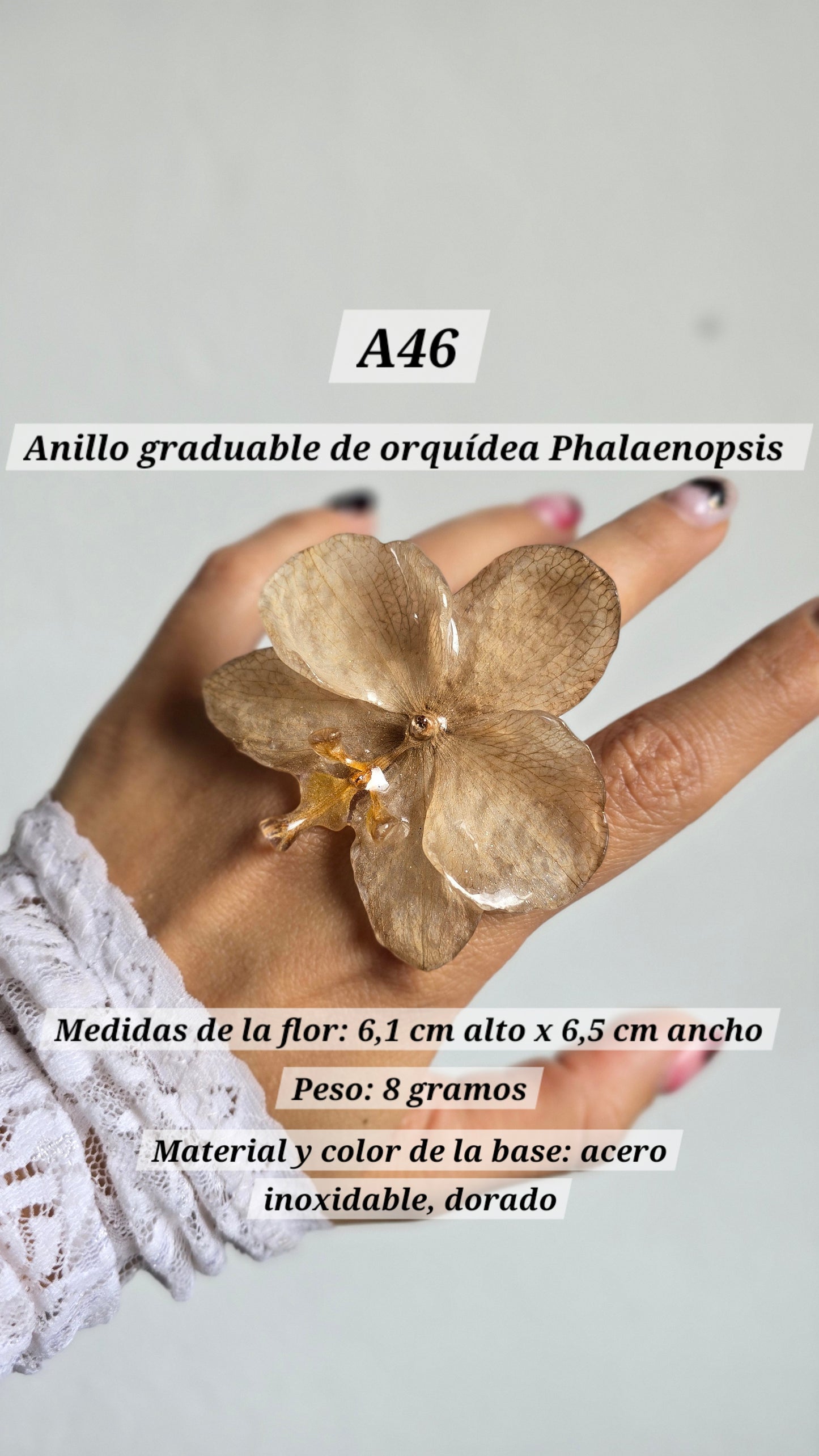 Anillos con orquídeas