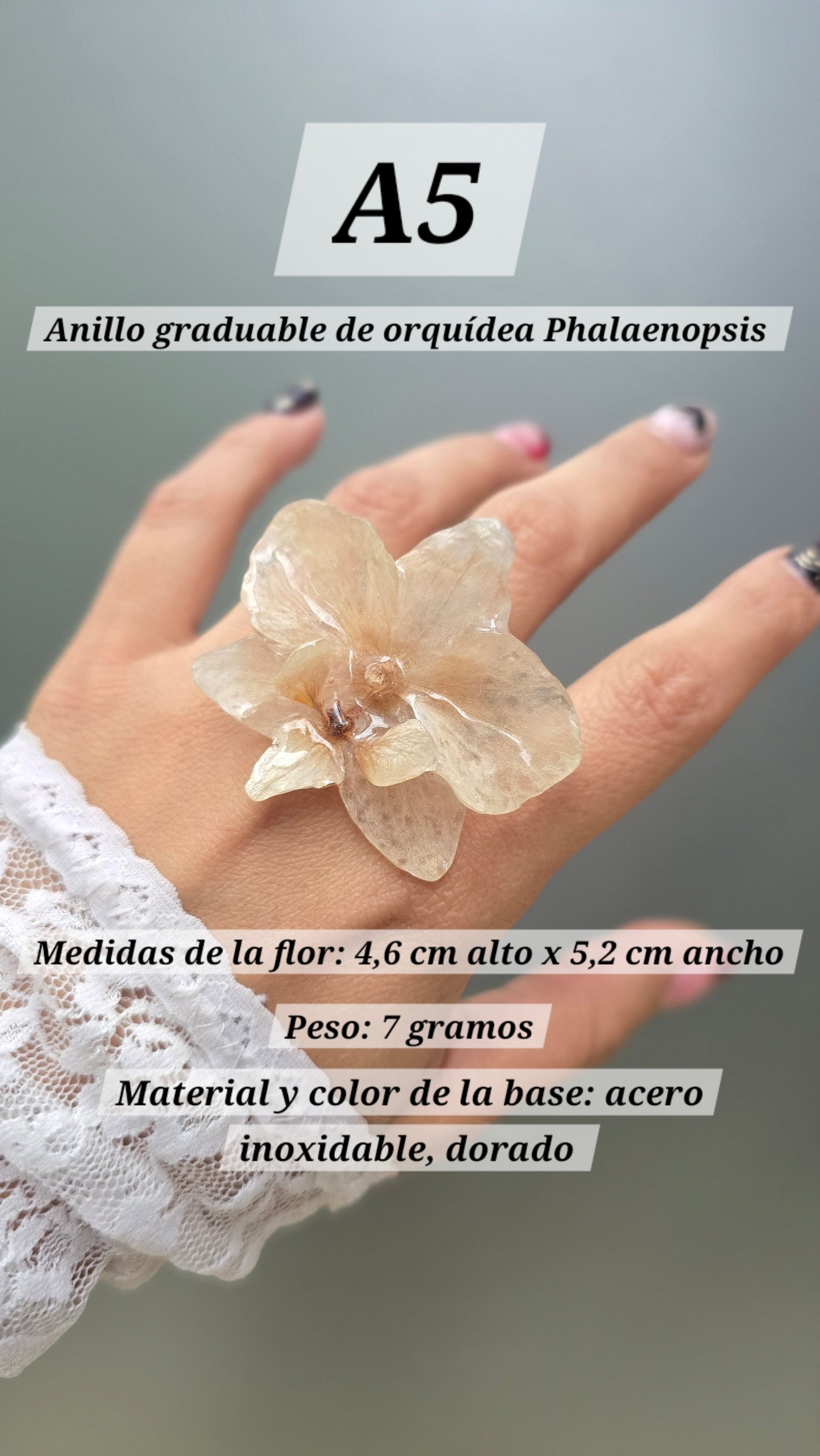Anillos de orquídeas