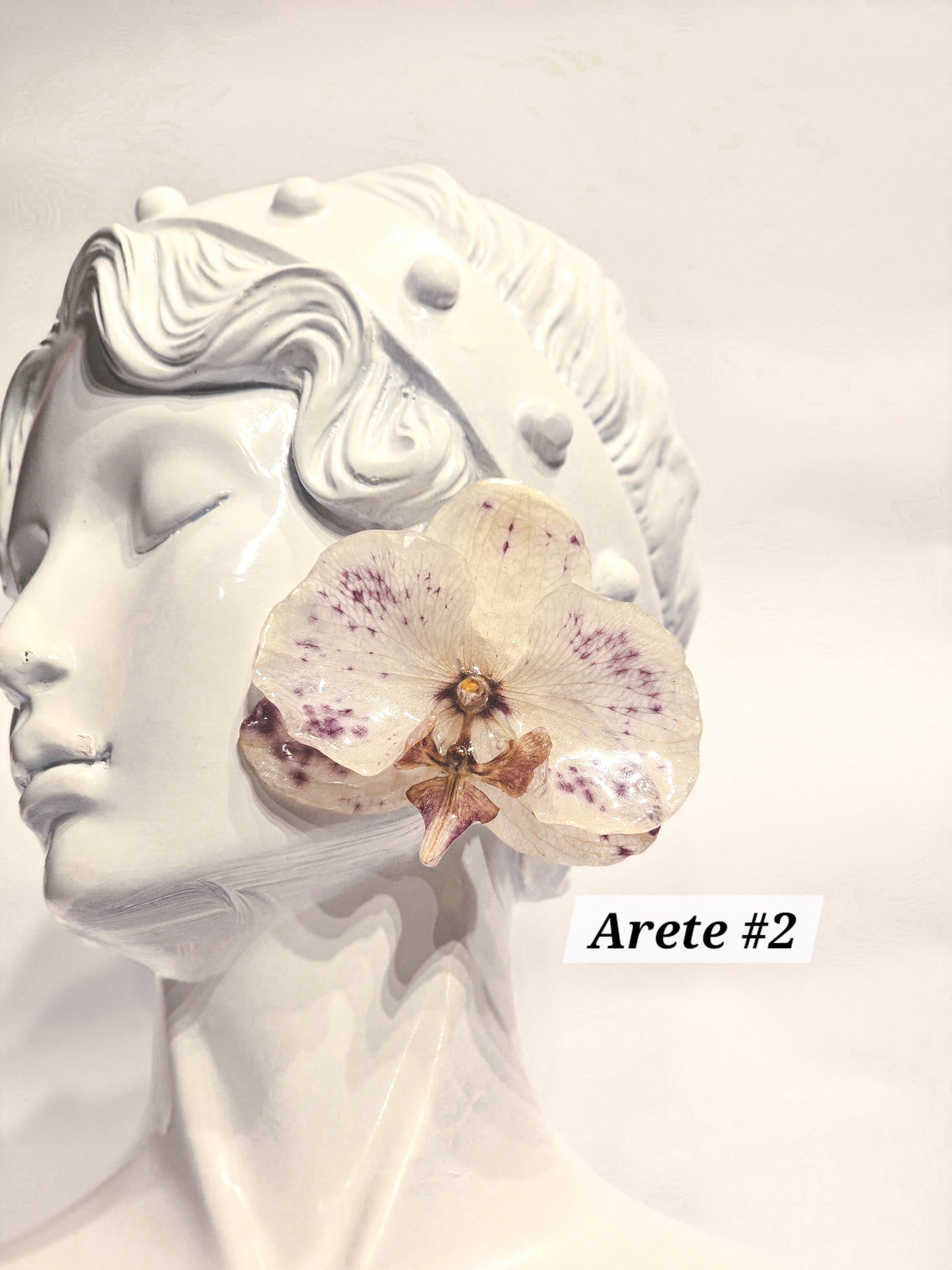 S1 - 1 🌸