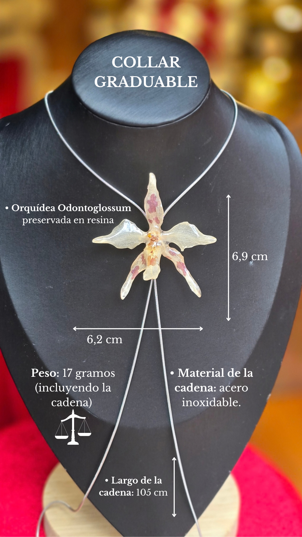 Orquídea Odontoglossum G2