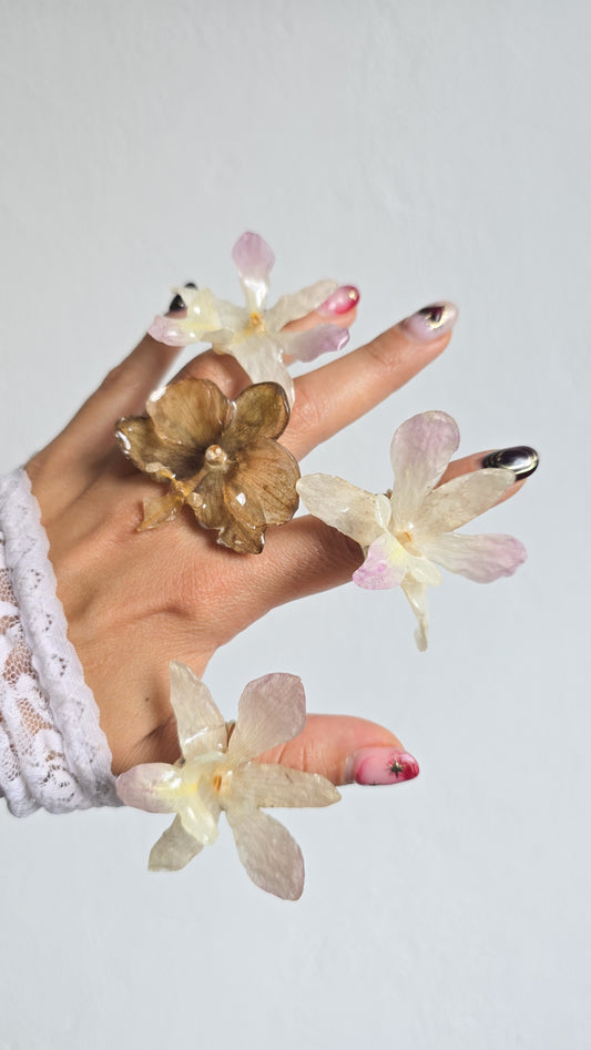 Anillos con orquídeas