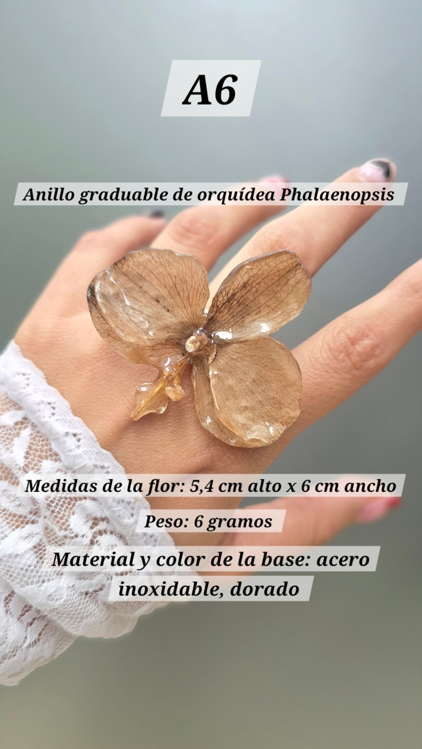 Anillos de orquídeas