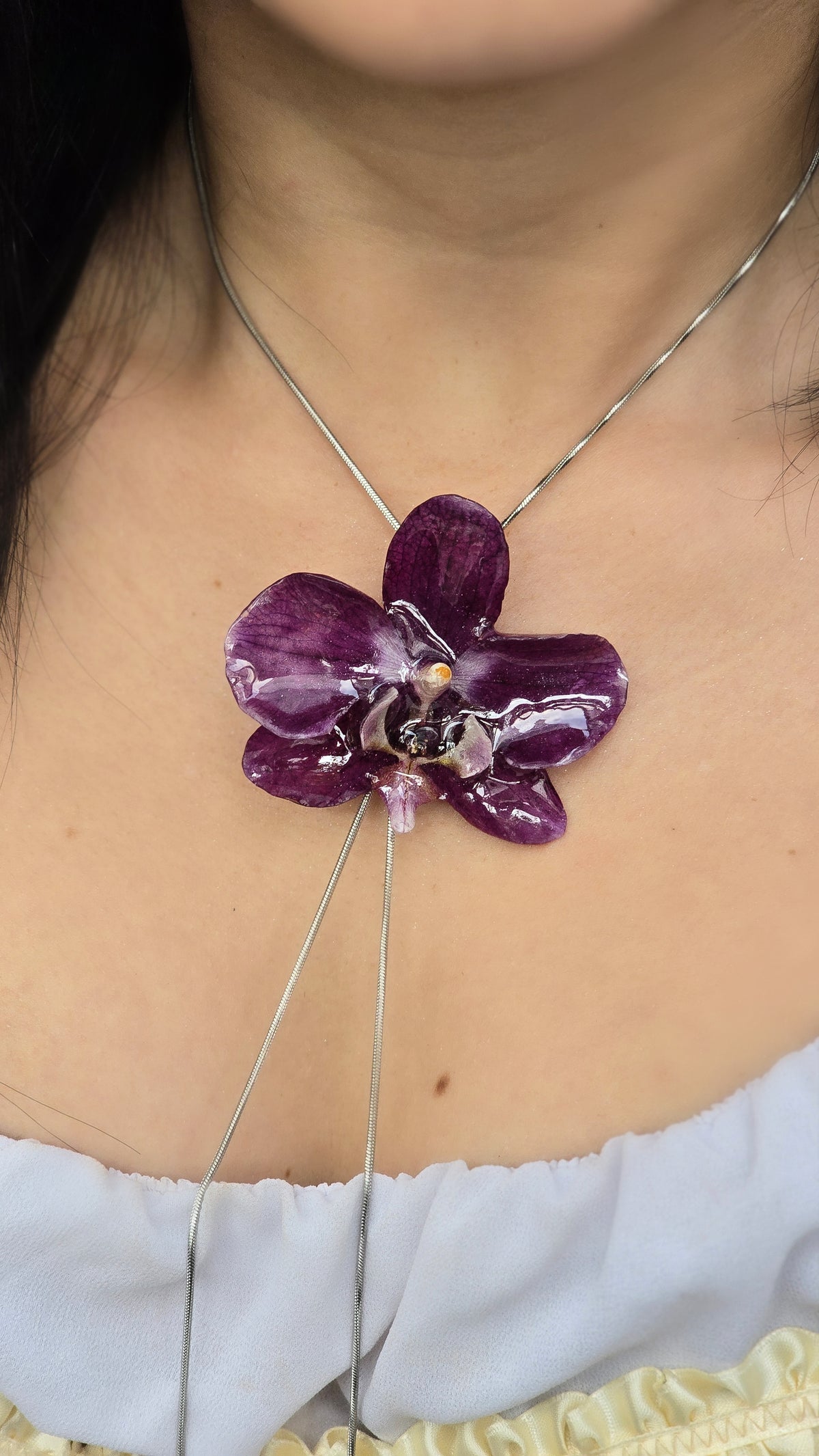 Orquídea Phalaenopsis G1