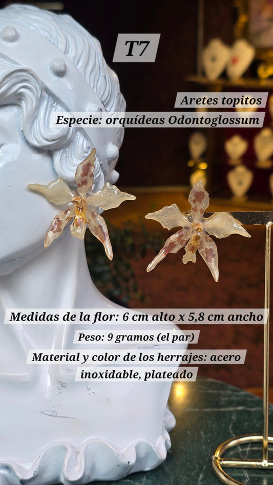 Aretes con orquídeas
