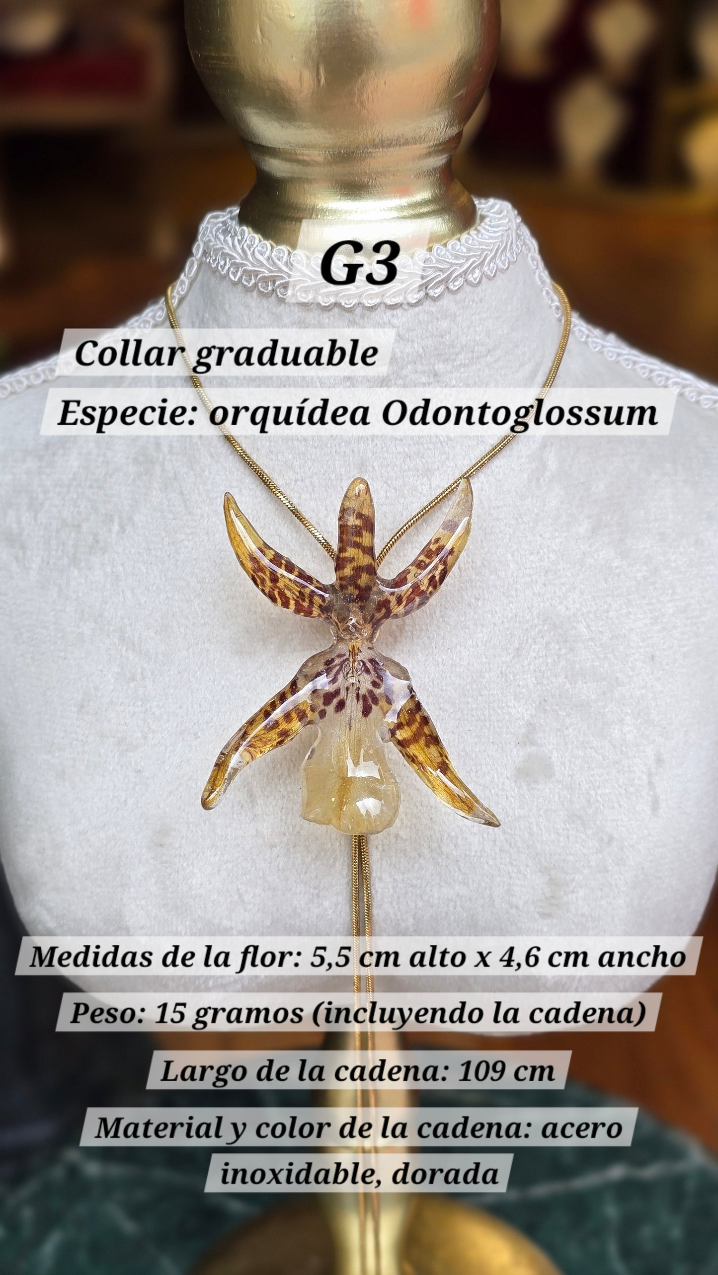 Collares con orquídeas