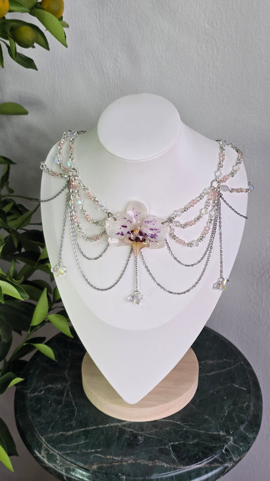 La reina Charlotte 🌸