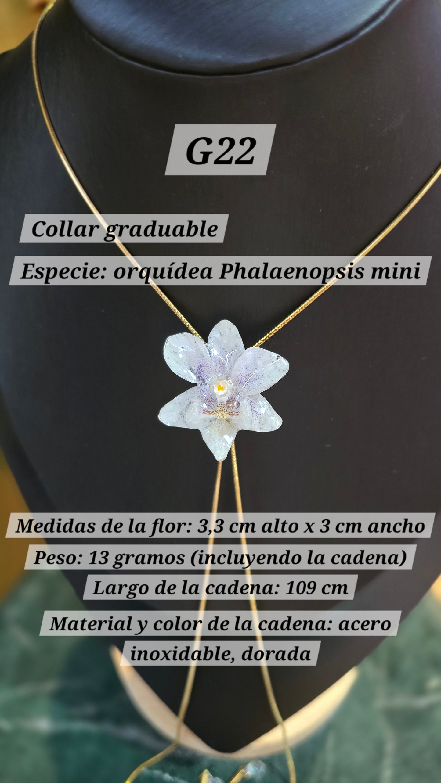 Colares con orquídeas