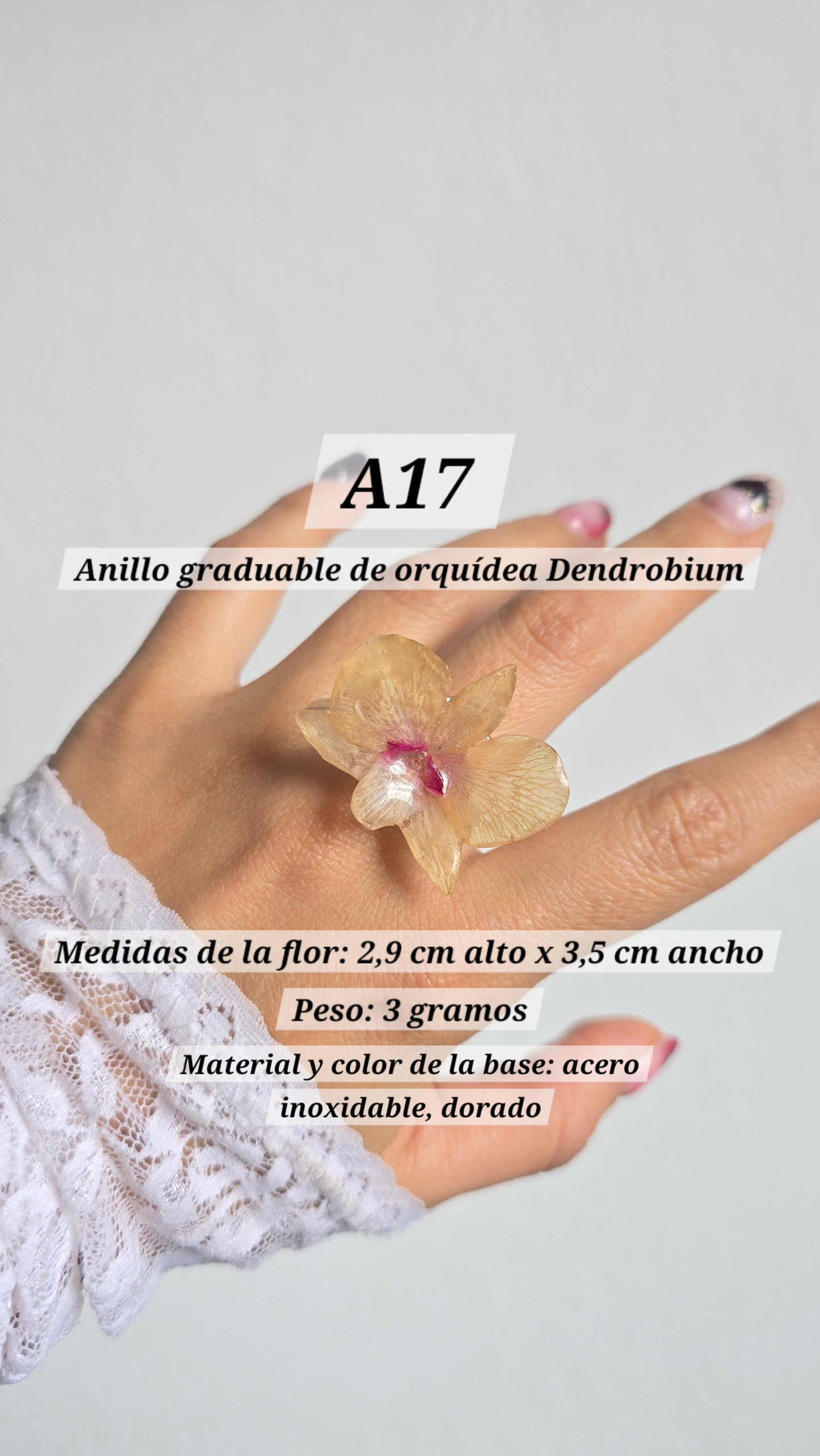 Anillos con orquídeas