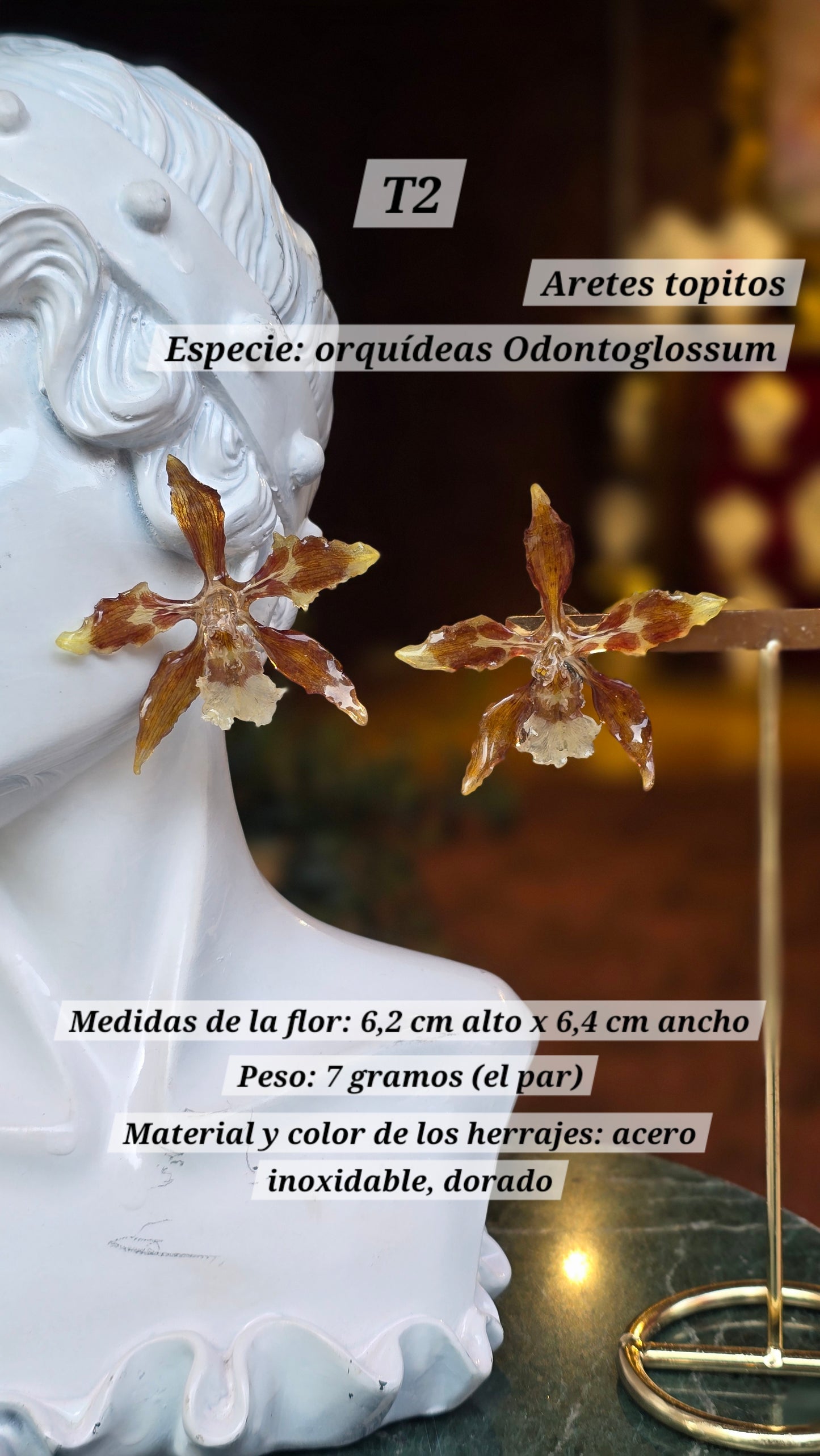 Aretes con orquídeas