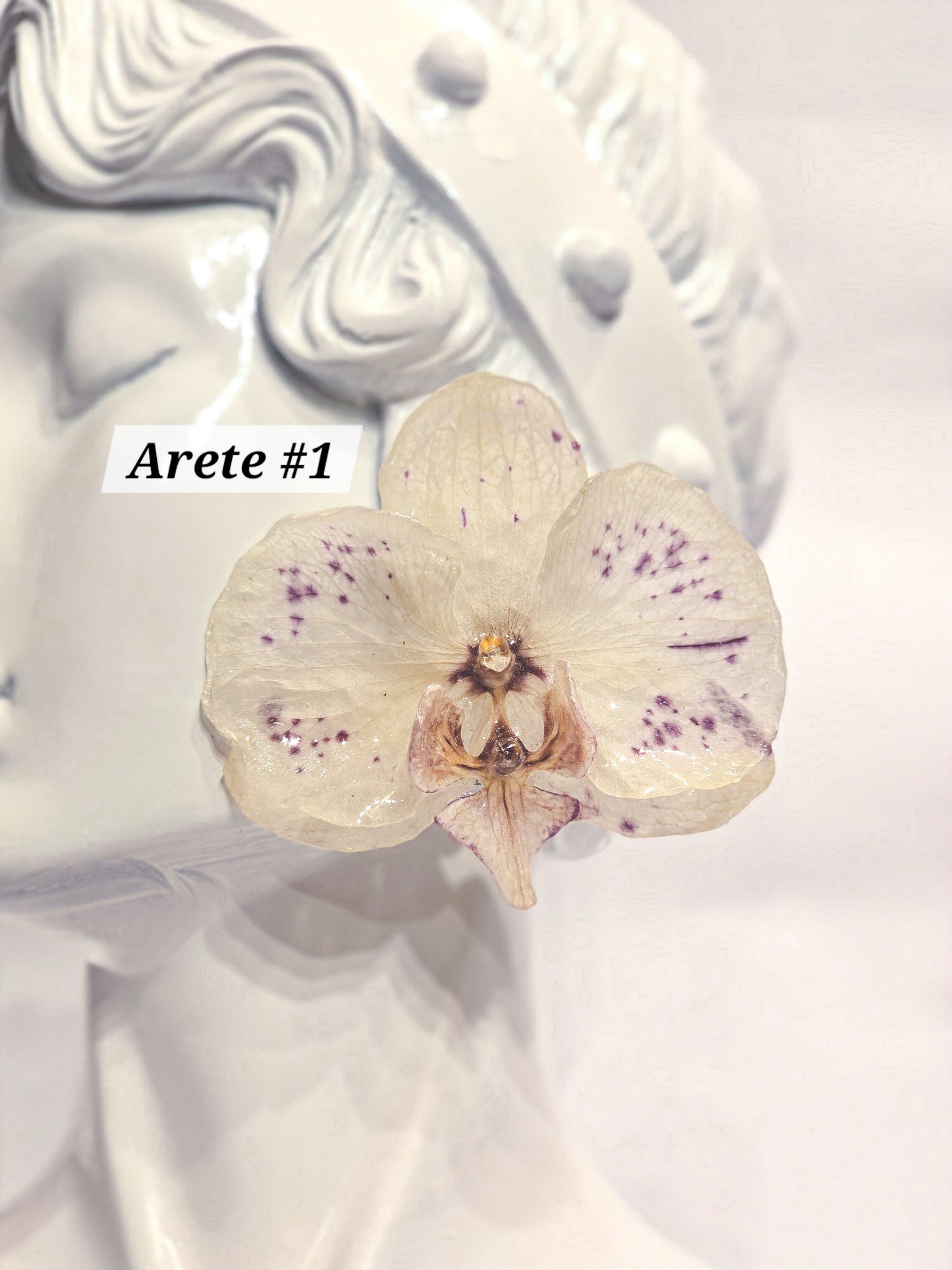 S1 - 1 🌸