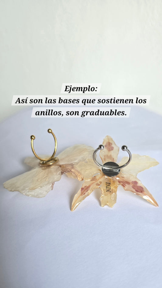 Anillos con orquídeas