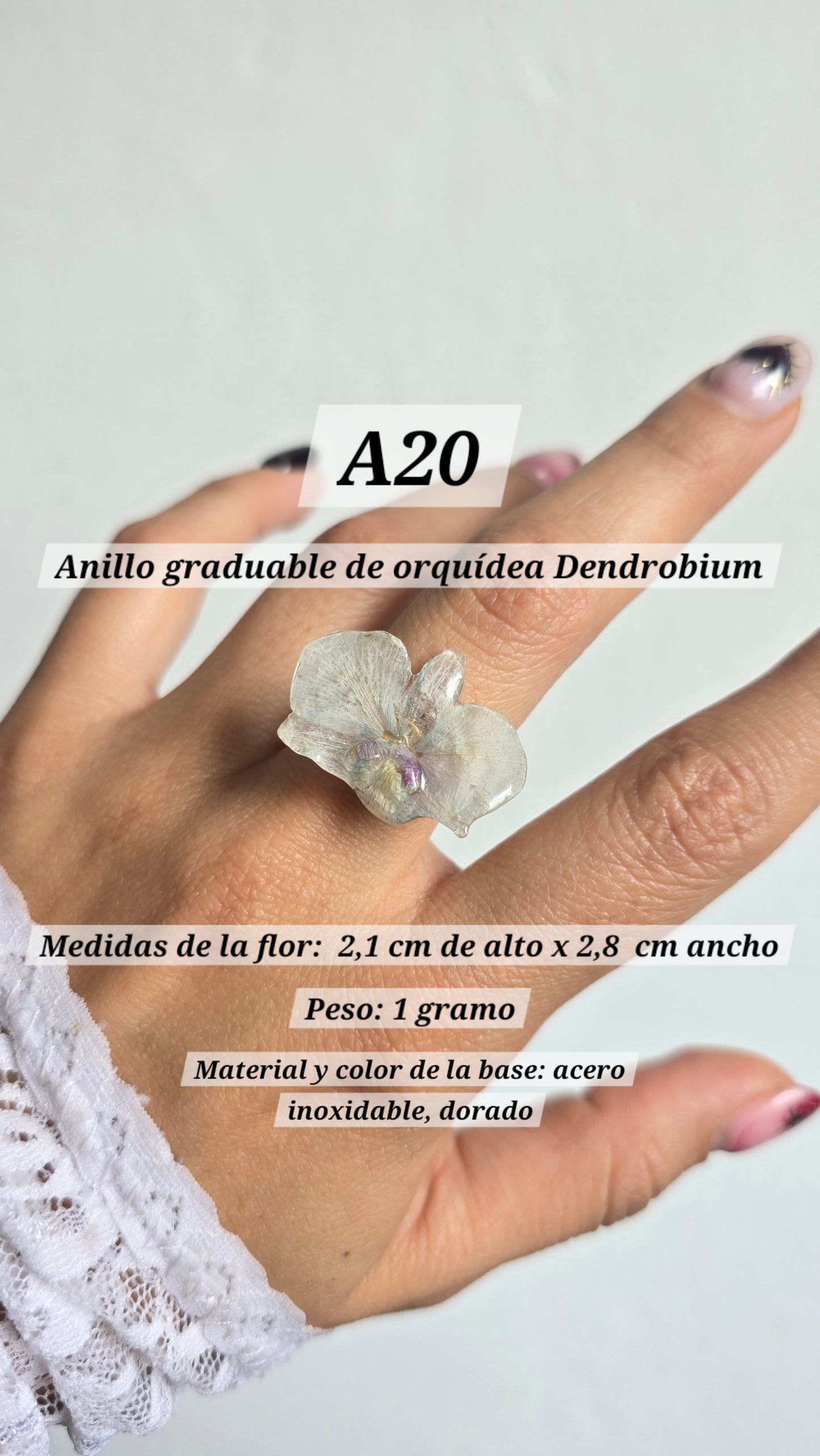Anillos de orquídeas