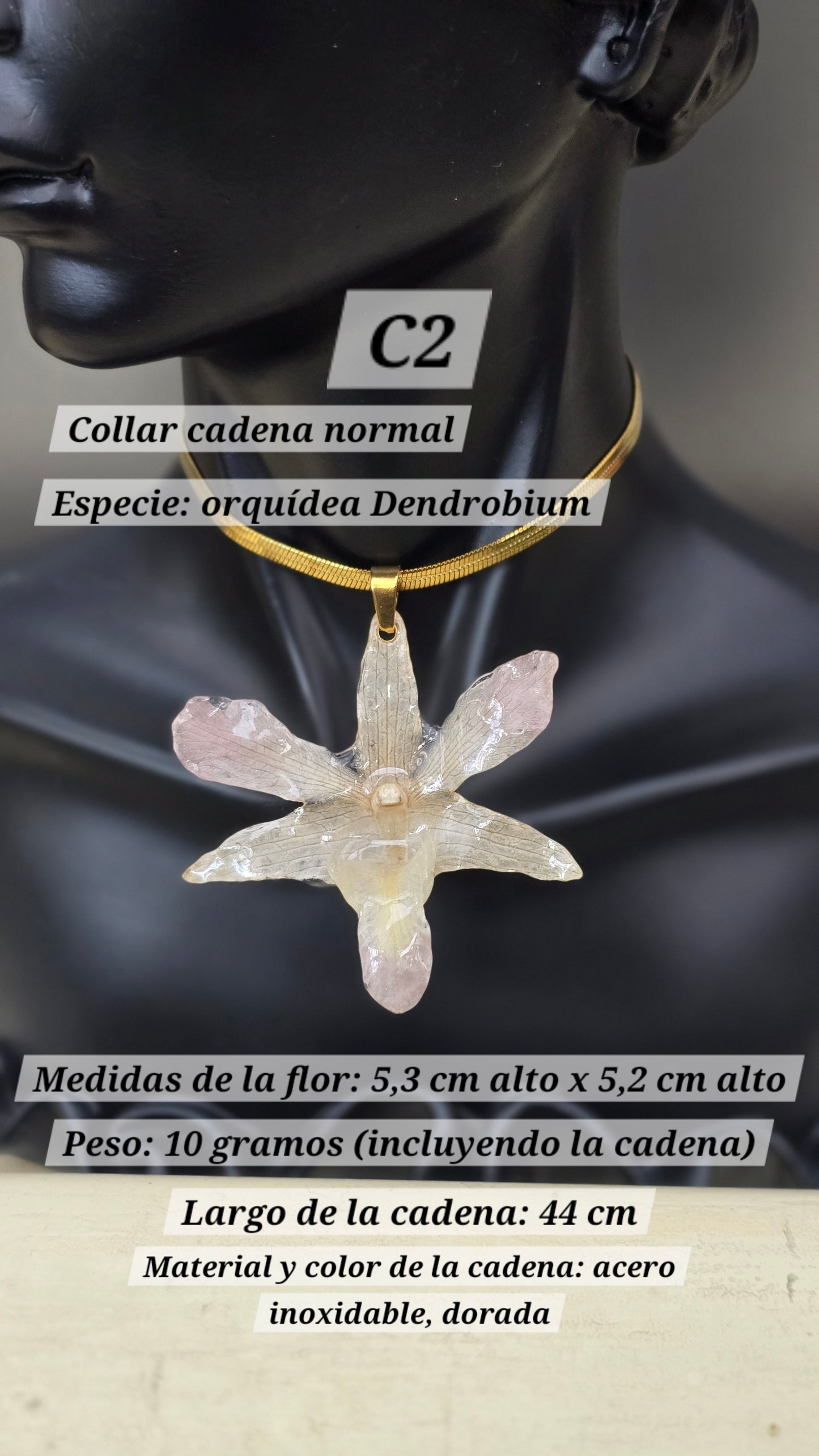 Collares con orquídeas