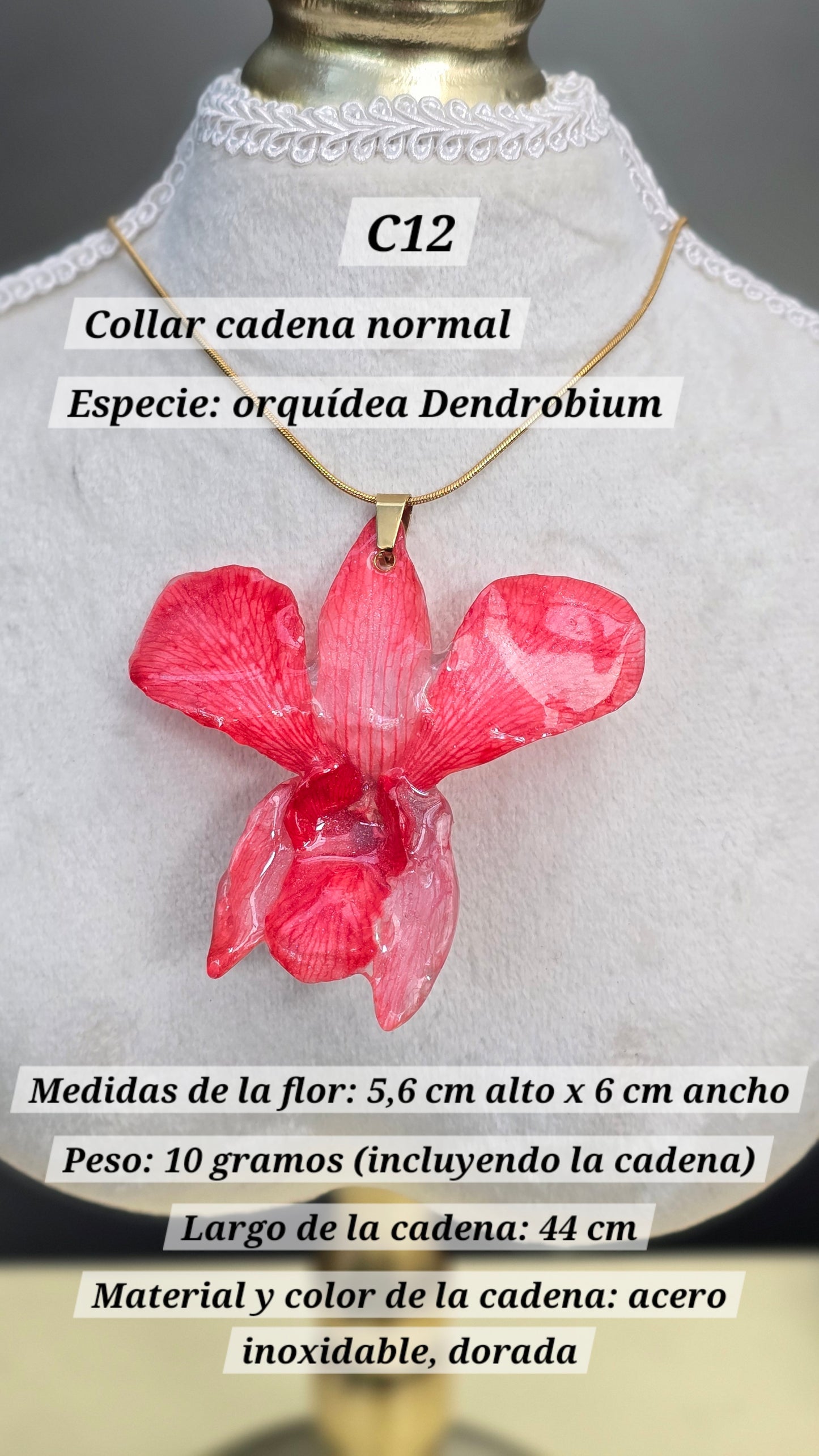 Collares con orquídeas