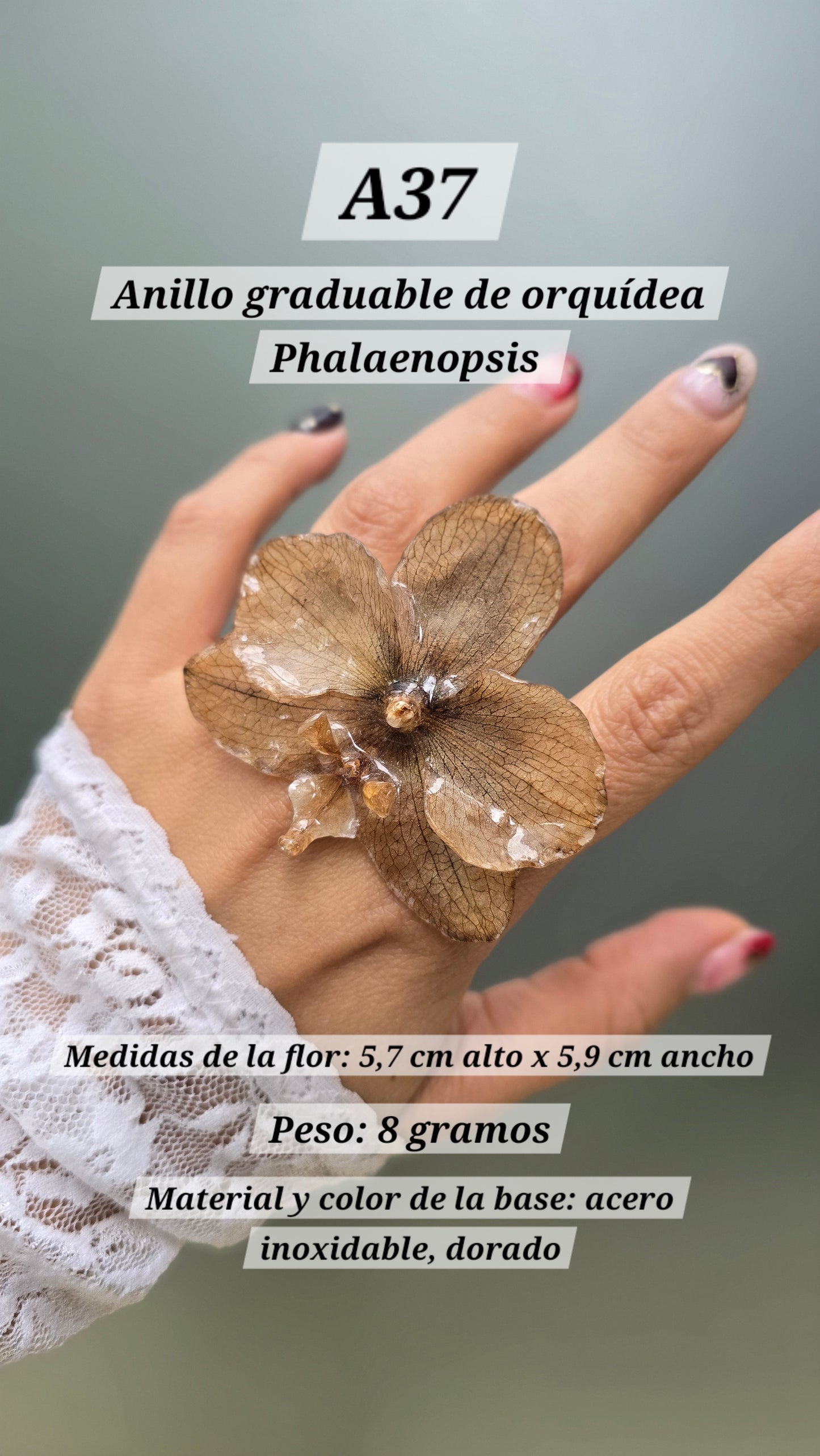 Anillos con orquídeas