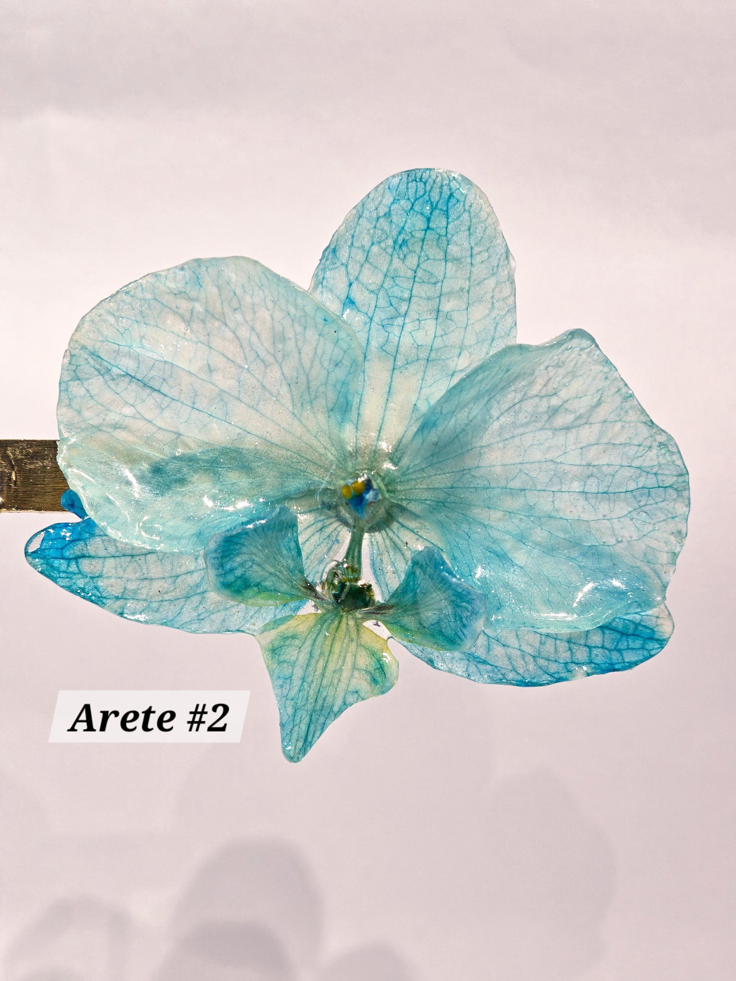 E51