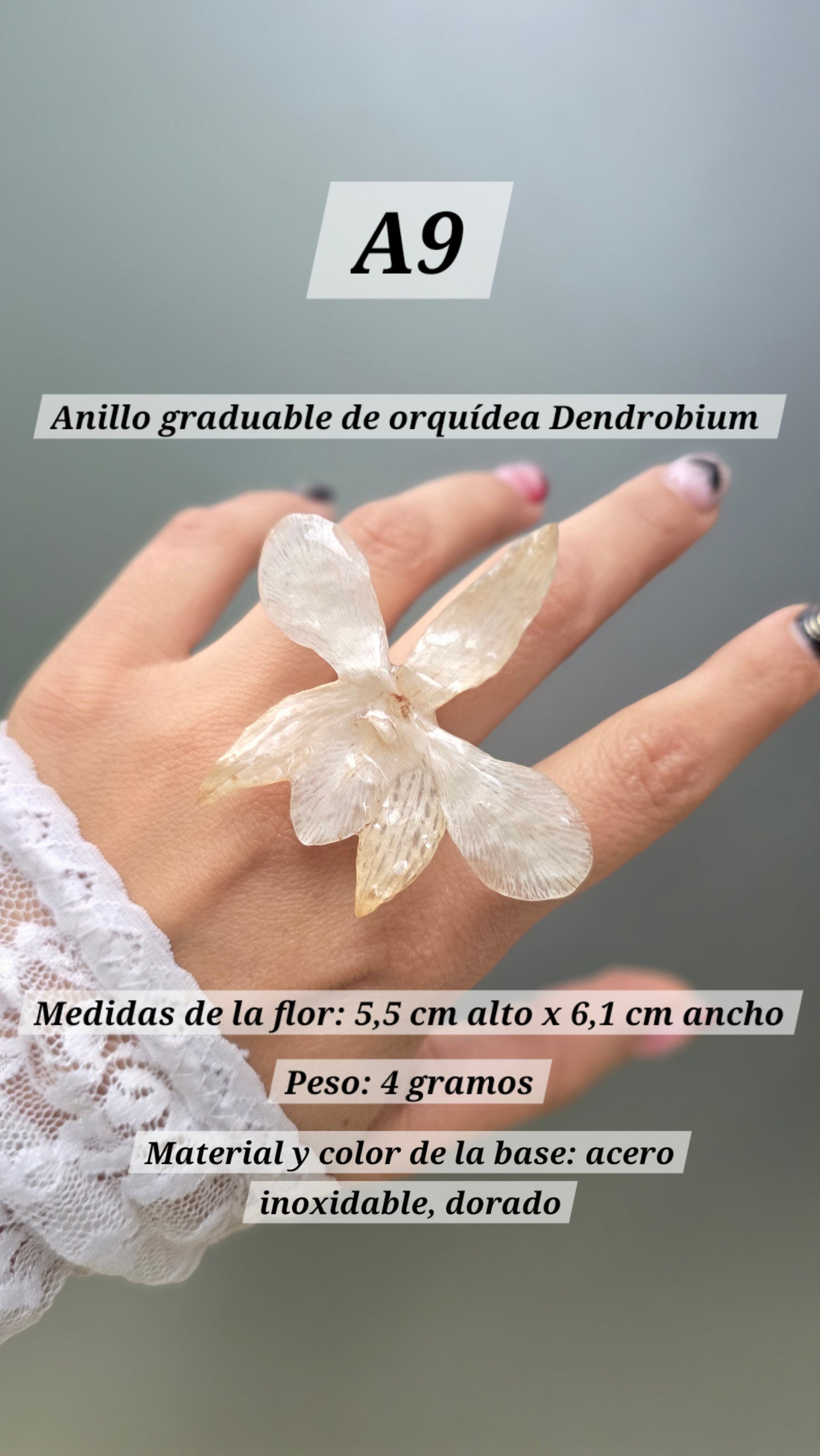 Anillos de orquídeas