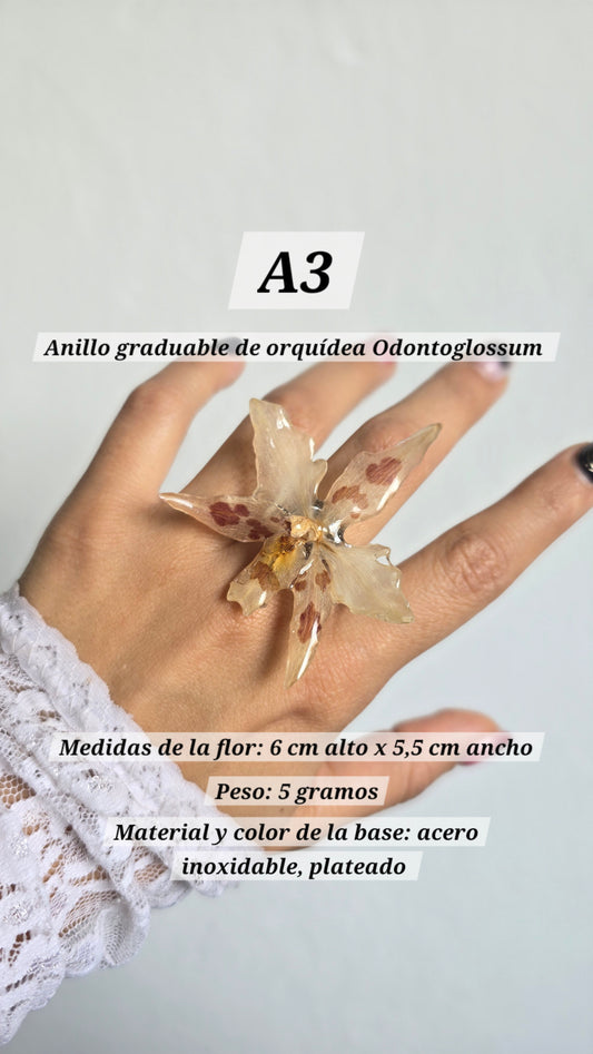Anillos con orquídeas