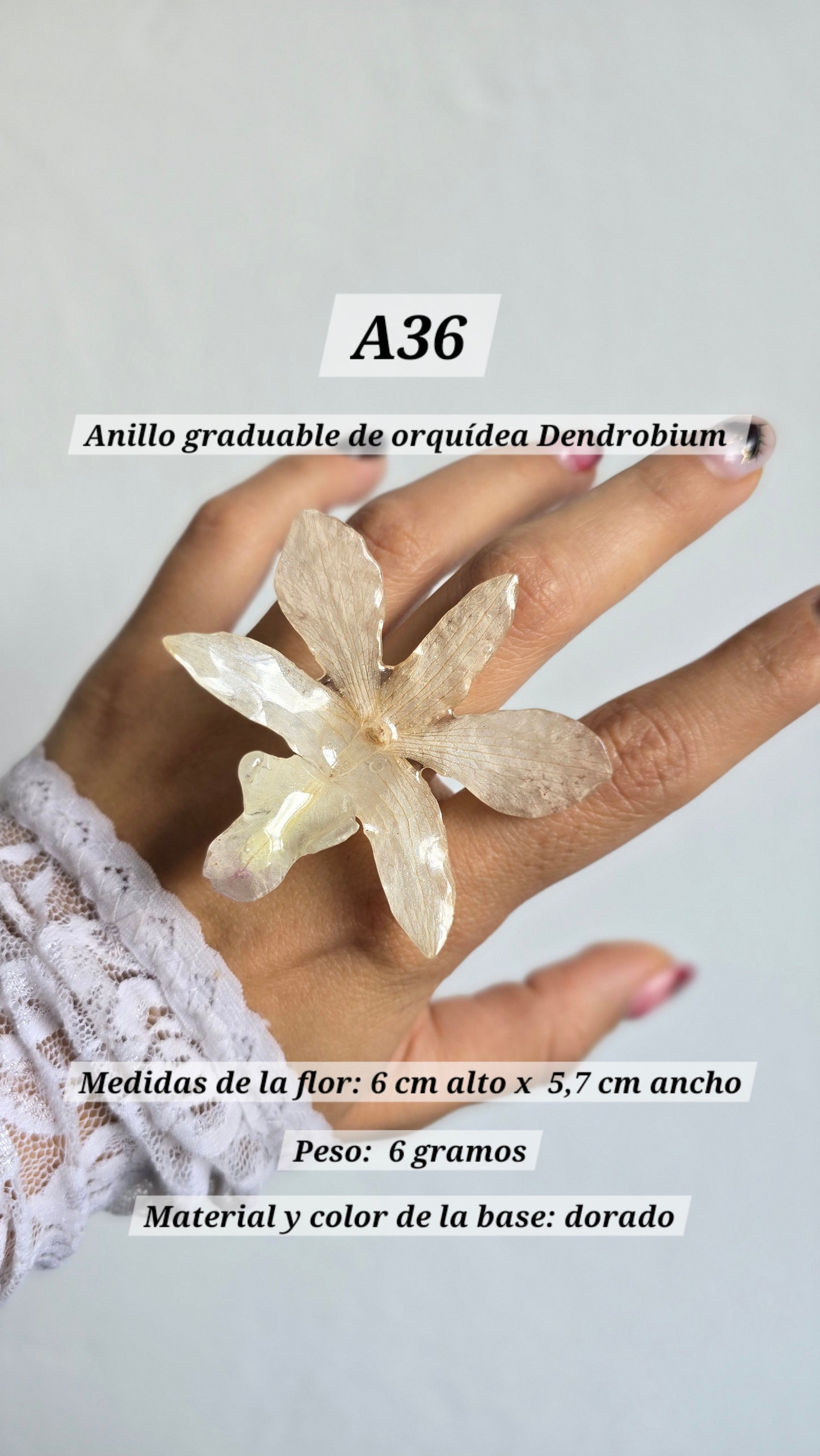 Anillos con orquídeas