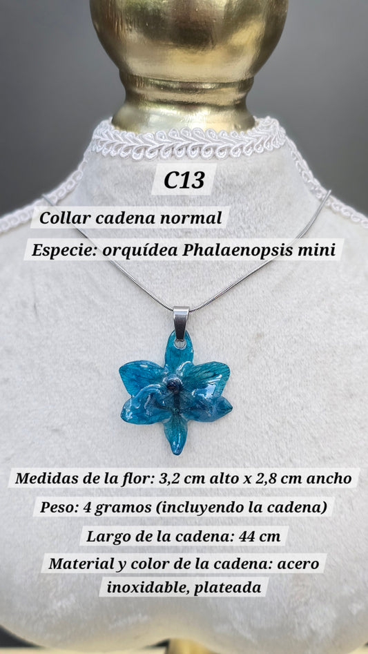Collares con orquídeas
