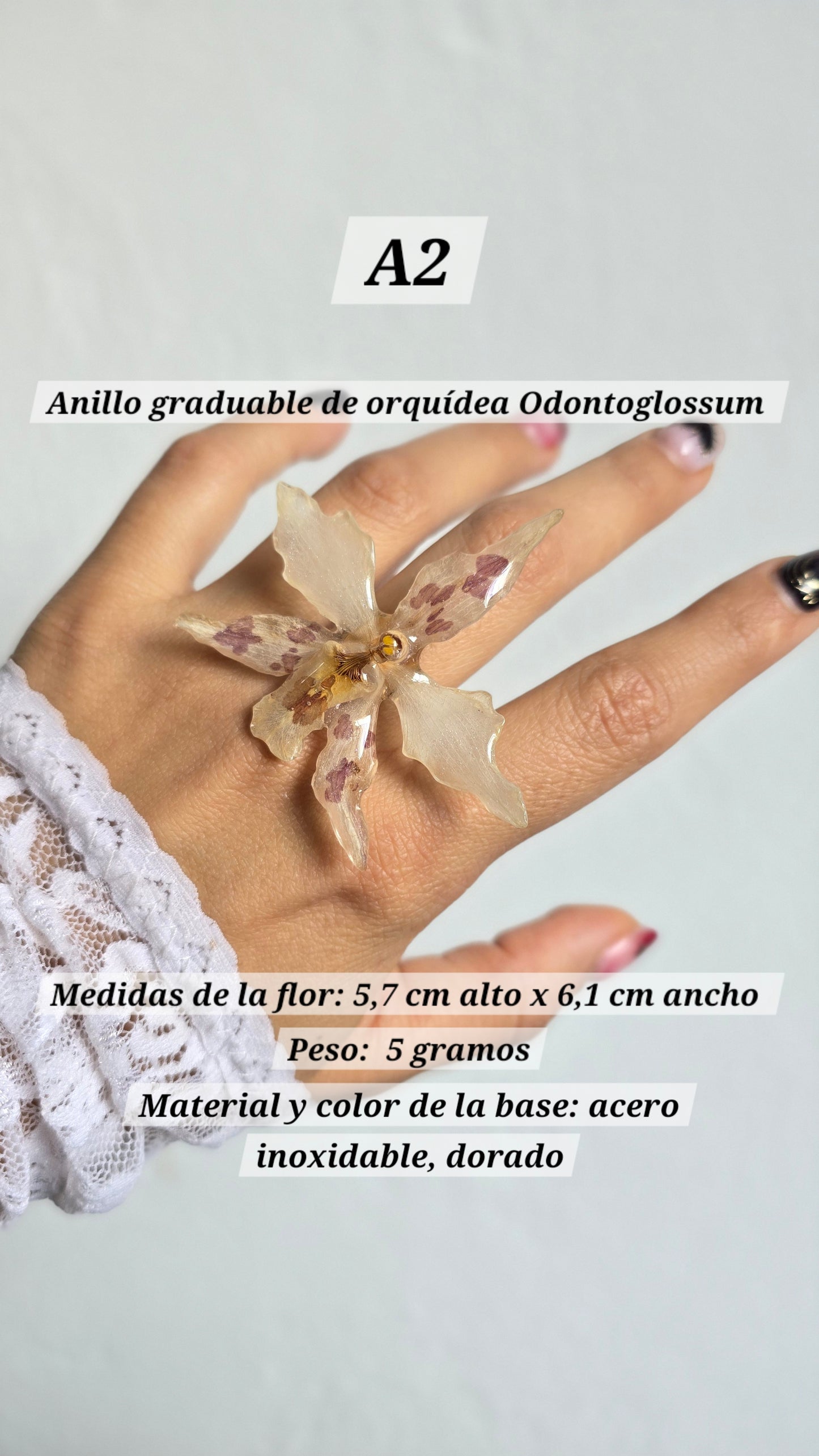 Anillos con orquídeas