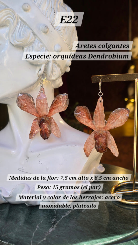 Aretes con orquídeas